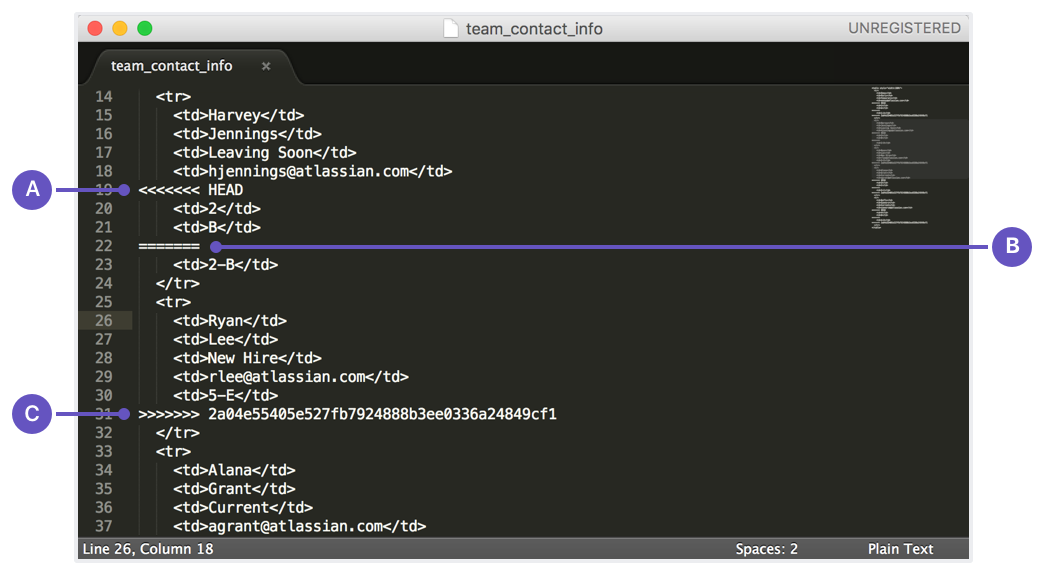A file with merge conflicts